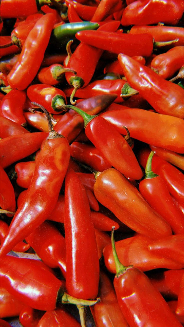 Cayenne_Long_Rouge