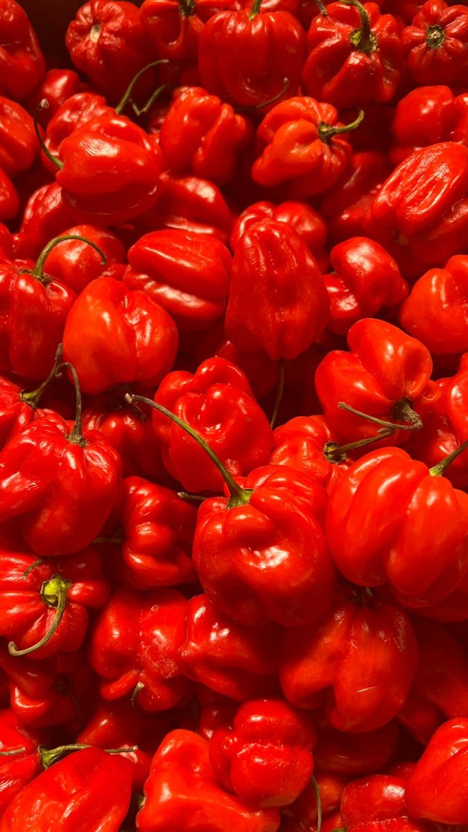 Habanero_rouge