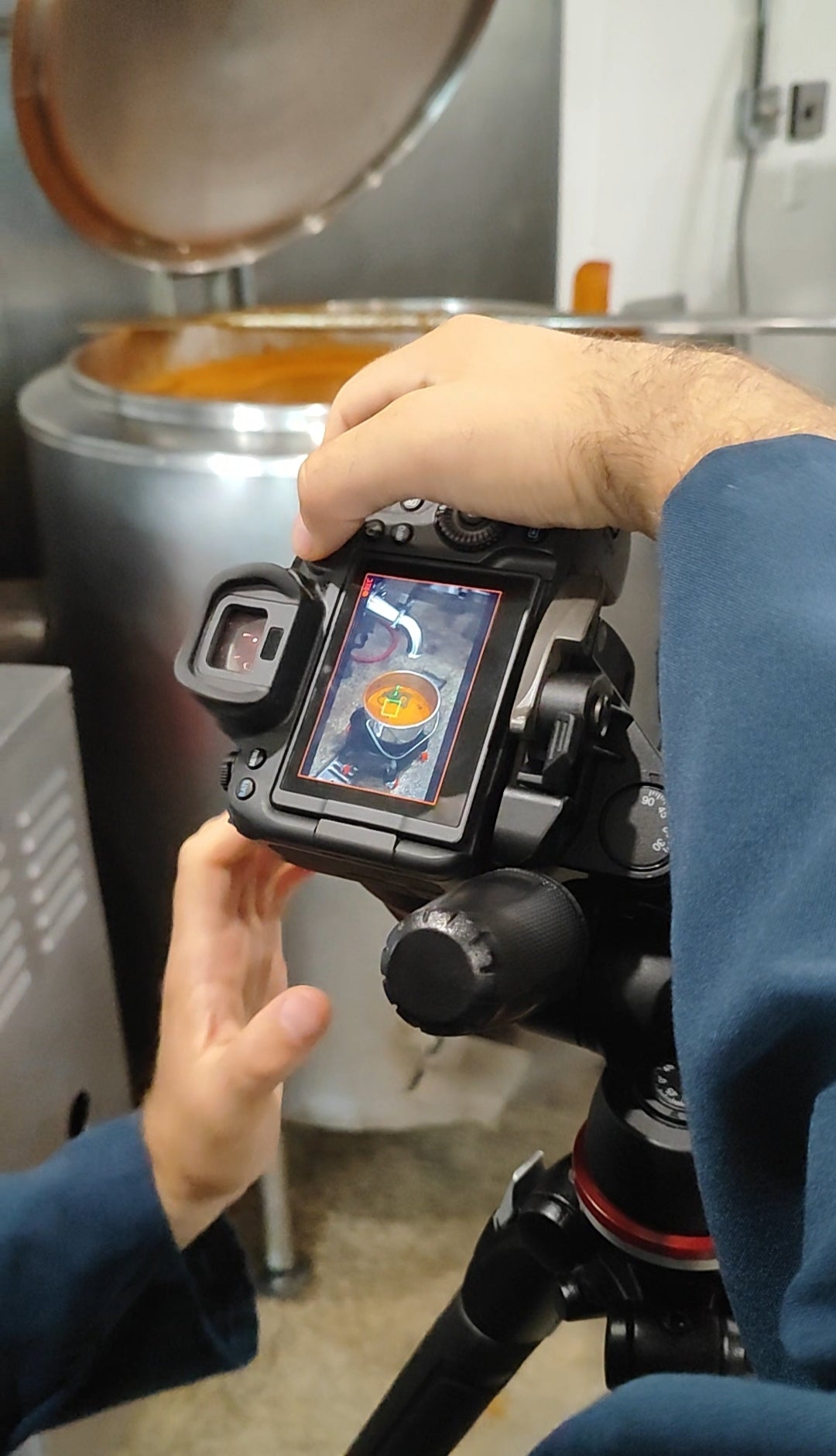 Récolter le myrique baumier : un art entre respect et passion