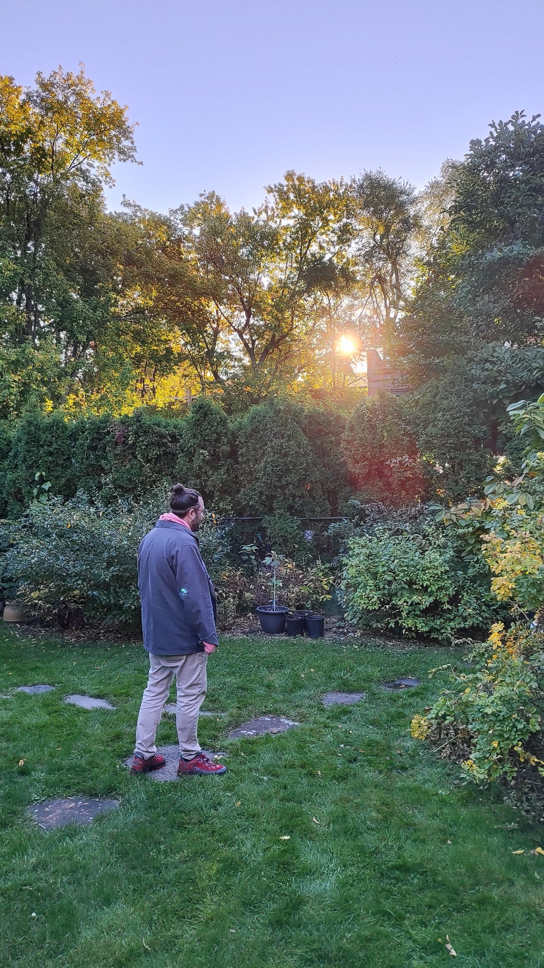 Pourquoi La Pimenterie ? Une collaboration naturelle autour du Pawpaw