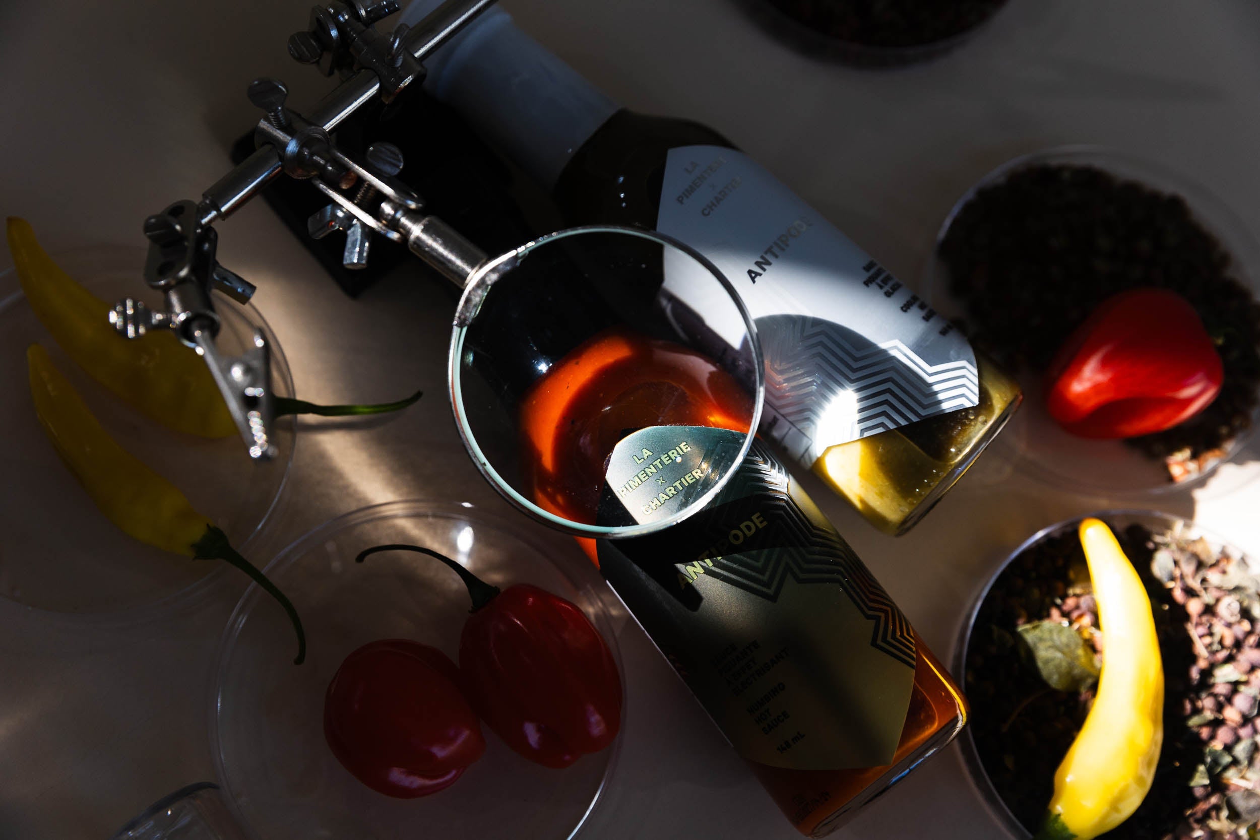 Peu caloriques et innovantes : les sauces Antipode au service de la gastronomie saine