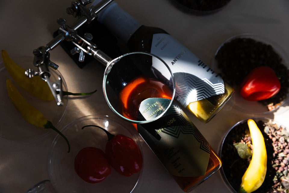 Peu caloriques et innovantes : les sauces Antipode au service de la gastronomie saine