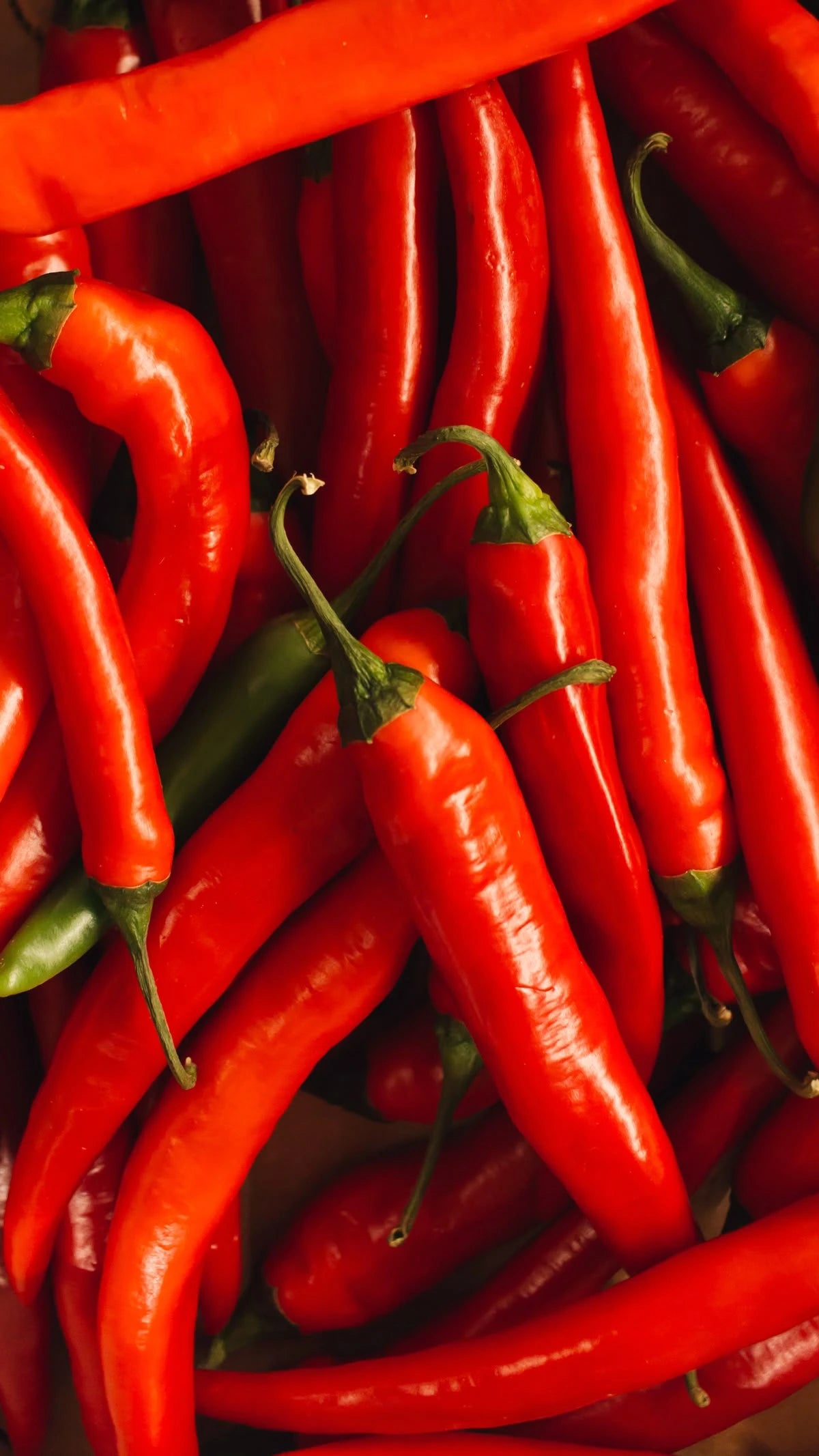 Piment_de_Cayenne